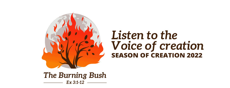 Ways to create a Burning Bush!