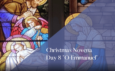 The Christmas Novena: Day 8